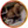 buddyinthefreezer