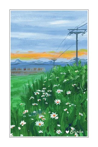 Hand-drawn postcard of a daisy meadow with a cable car line at sunset
