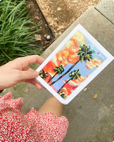 Bright postcard of palm trees and seaside houses held outdoors on a path